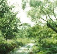 Holey Plains State Park - SA Accommodation