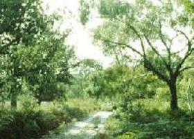 Holey Plains State Park - SA Accommodation 0