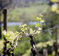Eldridge Estate of Red Hill - SA Accommodation