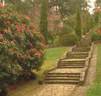 Maroondah Reservoir Park - SA Accommodation