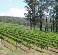 Piedmont Vineyard - SA Accommodation