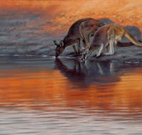 Steve Morvell Wildlife Art - SA Accommodation