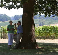 Five Oaks Vineyard - SA Accommodation