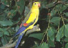 Lawloit VIC SA Accommodation