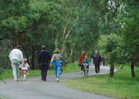 Birrarrung Park - SA Accommodation 0