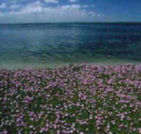 The Lakes National Park - SA Accommodation