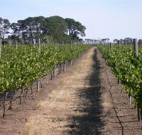 Mount Beckworth Wines - SA Accommodation