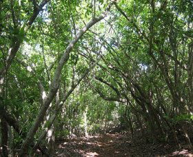 Durras North NSW SA Accommodation