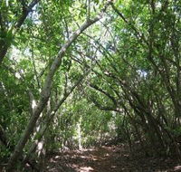 Eucalypt Trail - SA Accommodation