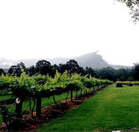 Cambewarra Estate Wines - SA Accommodation