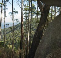 Gulaga National Park - SA Accommodation