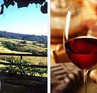 Jasper Valley Wines and Vines Cafe - SA Accommodation