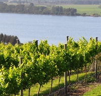 Two Figs Winery - SA Accommodation
