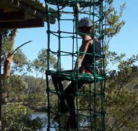 Trees Adventure Shoalhaven - SA Accommodation