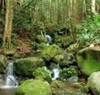 Budderoo National Park - SA Accommodation