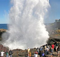 Kiama Blowhole - SA Accommodation