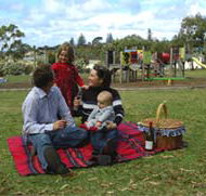 Blackbutt Forest Reserve - SA Accommodation