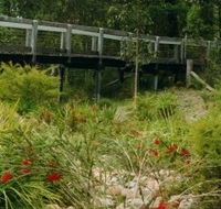 Eurobodalla Botanic Gardens - SA Accommodation