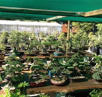Bonsai at the Bay - SA Accommodation