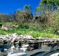 Abrahams Bosom Reserve - SA Accommodation