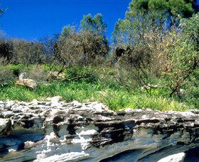Abrahams Bosom Reserve - SA Accommodation 0