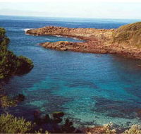 Bass Point Reserve - SA Accommodation