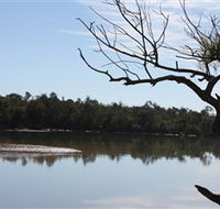 North Coast Holiday Parks Boambee Creek Reserve - SA Accommodation