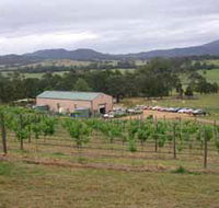 Villa d Esta Vineyard - SA Accommodation