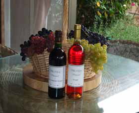 Villa D Esta Vineyard - SA Accommodation 2