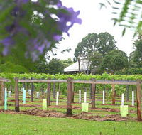 Douglas Vale Historic Homestead  Vineyard - SA Accommodation