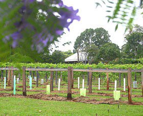 Douglas Vale Historic Homestead & Vineyard - SA Accommodation 0