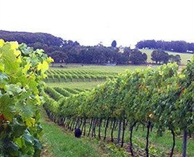 Exeter NSW SA Accommodation