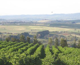 De Salis Wines - SA Accommodation 1