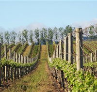 Philip Shaw Wines - SA Accommodation