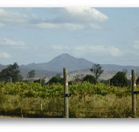 Ironbark Ridge Vineyard - SA Accommodation