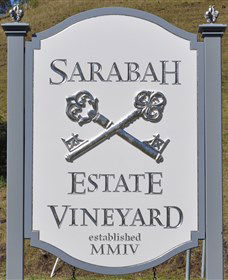 Sarabah Estate Vineyard - SA Accommodation 3