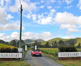 Sarabah Estate Vineyard - SA Accommodation 0