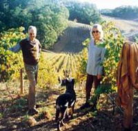 Mt Lofty Ranges Vineyard - SA Accommodation