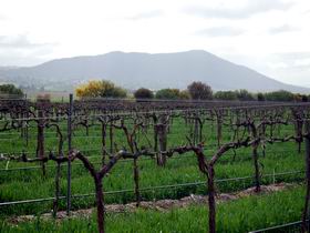 Remarkable View Wines - SA Accommodation 1
