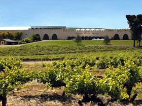 Taylors Wines - SA Accommodation 0