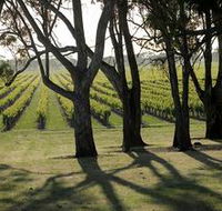 Henry's Drive Vignerons - SA Accommodation