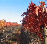 Kooyonga Creek Wines - SA Accommodation