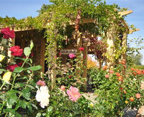 Garners Heritage Wines - SA Accommodation 1