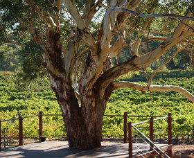 Upper Reach Winery And Cellar Door - SA Accommodation 1