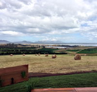 The Hazards Vineyard - Devil's Corner - SA Accommodation