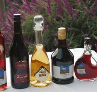 Hartzview Vineyard Heritage Pickers Hut Village - SA Accommodation