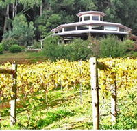 Peveril Vineyard/Beechy Berries - SA Accommodation