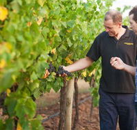 Fratin Brothers Vineyard - SA Accommodation