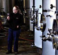 Holm Oak Vineyard - SA Accommodation