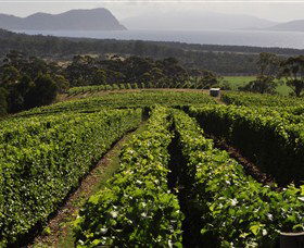 Bream Creek TAS SA Accommodation